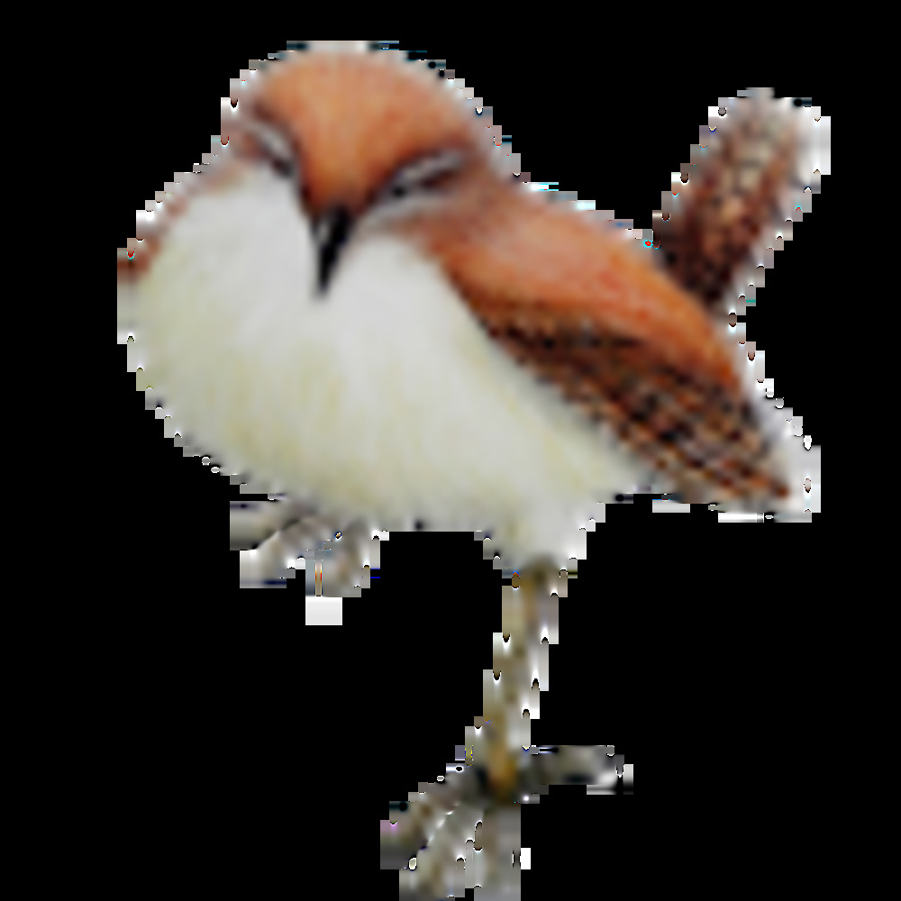 Meet your Posher, Jen